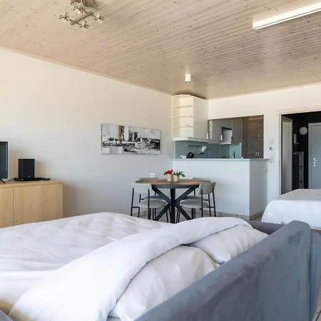 アパート Bel Air - Cosy With Amazing Seaview T6 オステンド